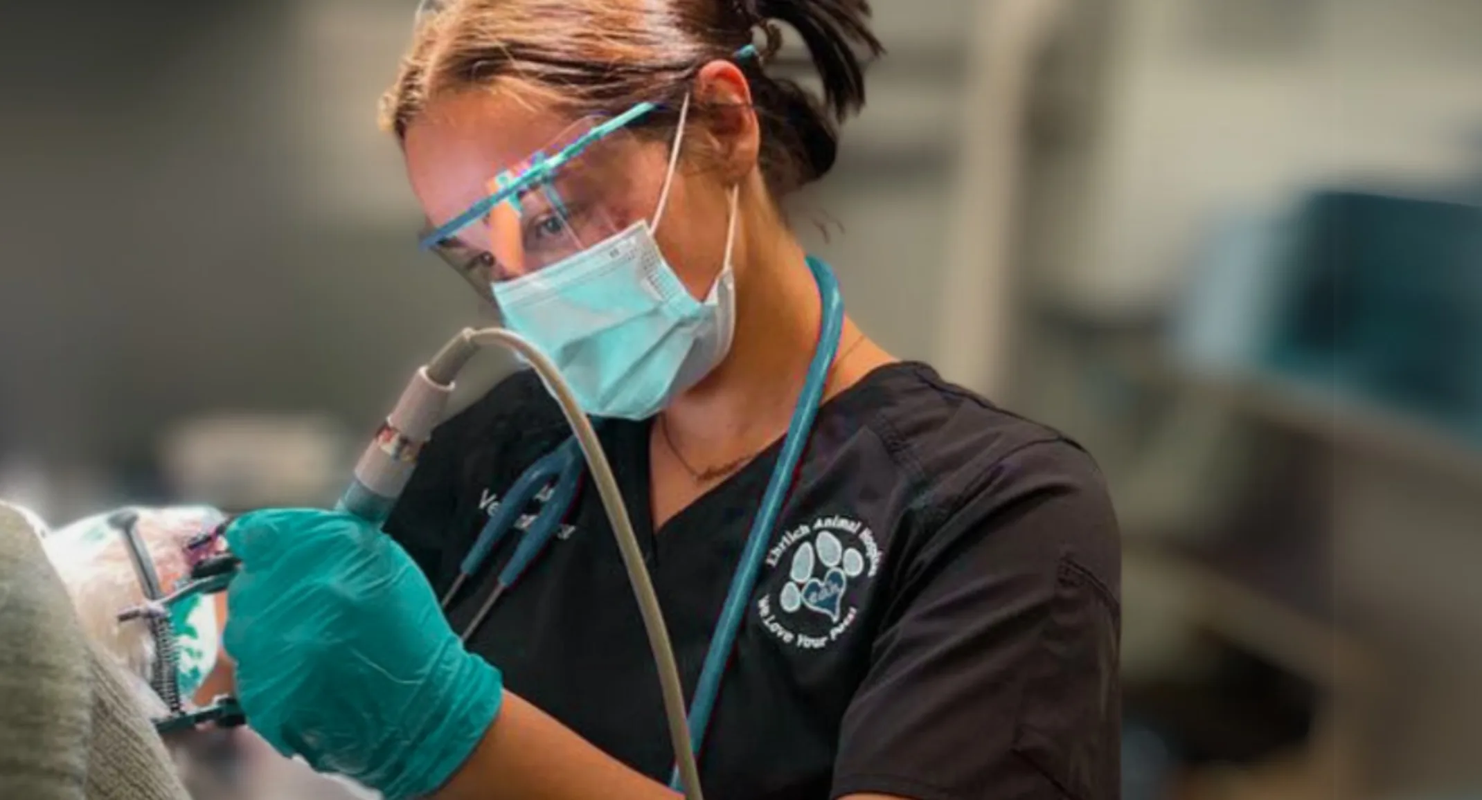 Test your love for dentistry: How sharp are your skills? Test your love for dentistry: How sharp are your skills?