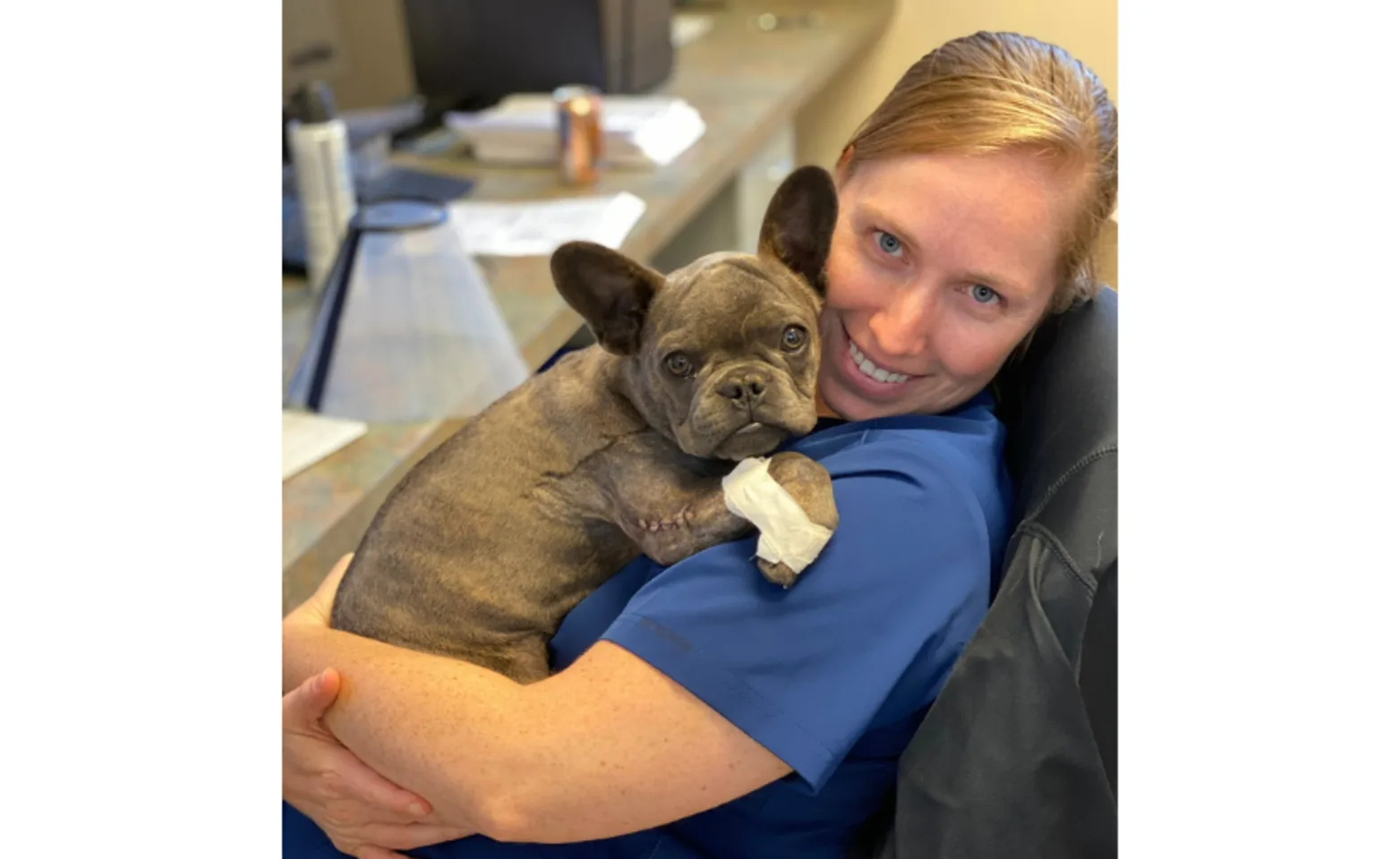 A vet holding a dog