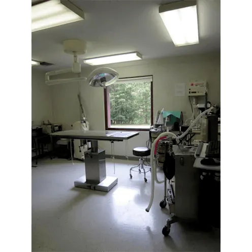 Surgery room Surgery room