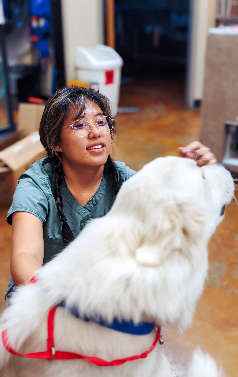 Girl in braids with white dog.
