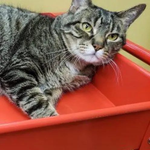 Curtis Loew Curtis Loew