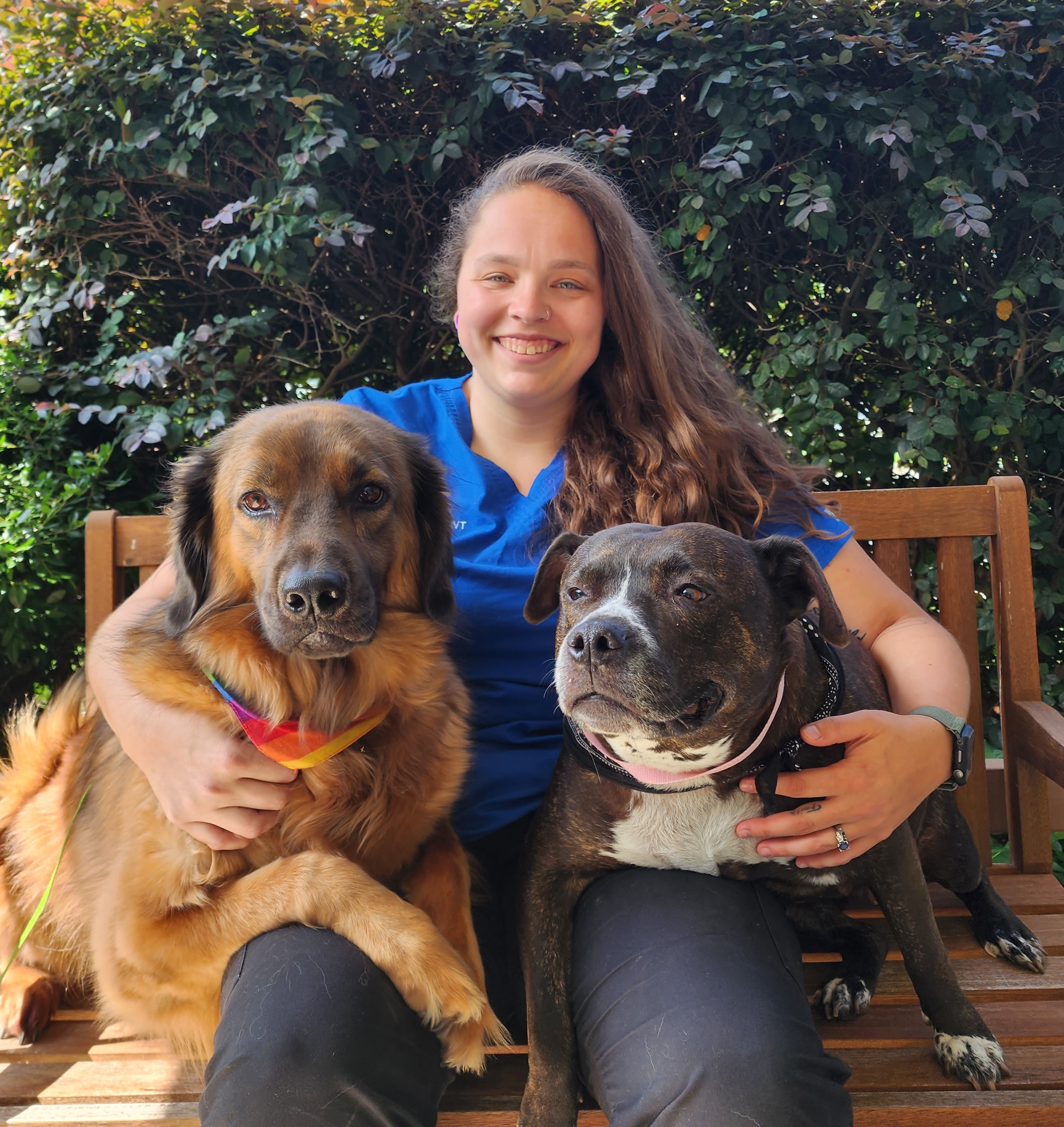 Hanna of Carver Street Animal Hospital