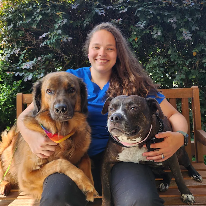 Hanna of Carver Street Animal Hospital Hanna of Carver Street Animal Hospital