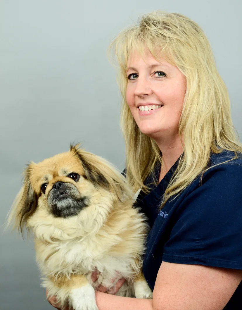 Ann holding small dog at Rainbow Animal Hospital 