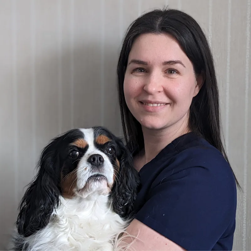 Dr. Rebecca MacLean Dr. Rebecca MacLean