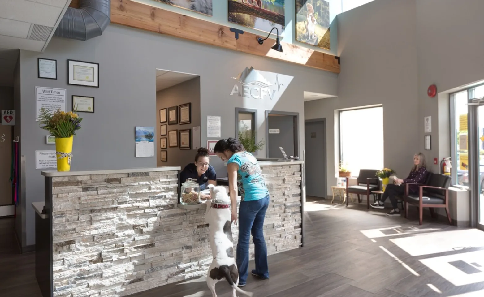 Lobby of Animal Emergency Clinic of the Fraser Valley Lobby of Animal Emergency Clinic of the Fraser Valley