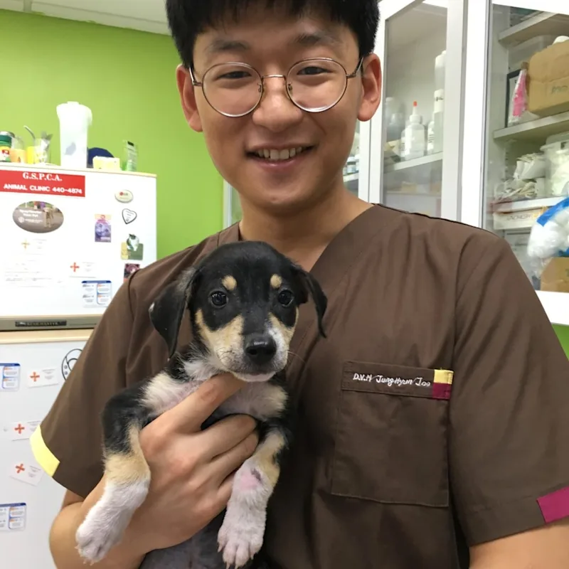 Dr. Hyunjoo Jung Dr. Hyunjoo Jung