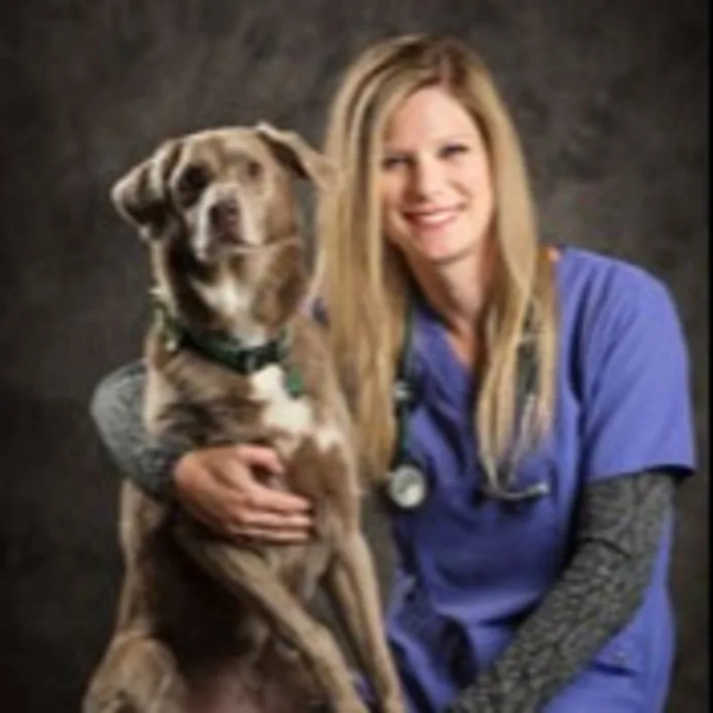 Dr. Alyssa Keith Dr. Alyssa Keith