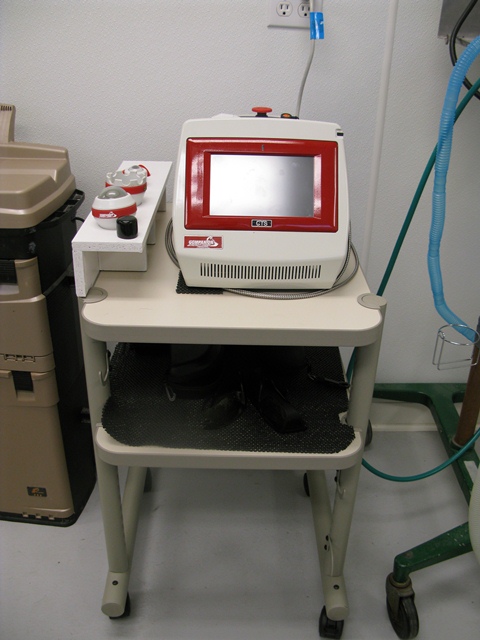 Companion Animal Laser