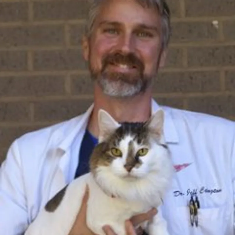 Dr. Jeff Covington holding a cat Dr. Jeff Covington holding a cat