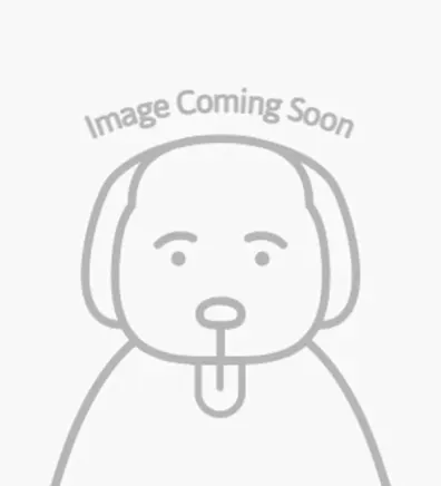 pencil puppy pencil puppy