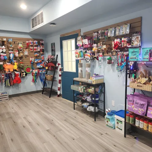 Pet Toys, Treats, and Food Pet Toys, Treats, and Food