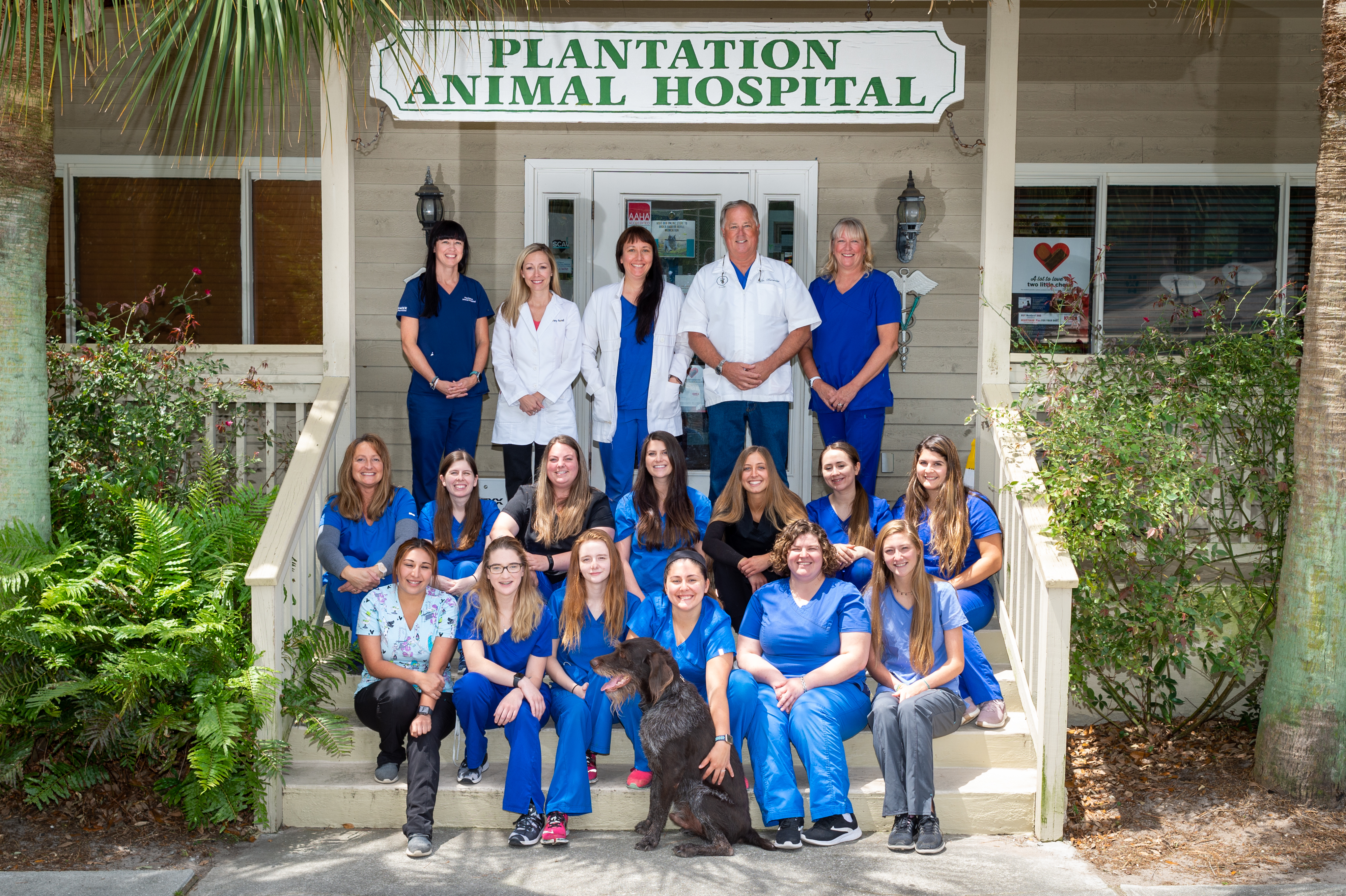 Homepage | Plantation Animal Hospital