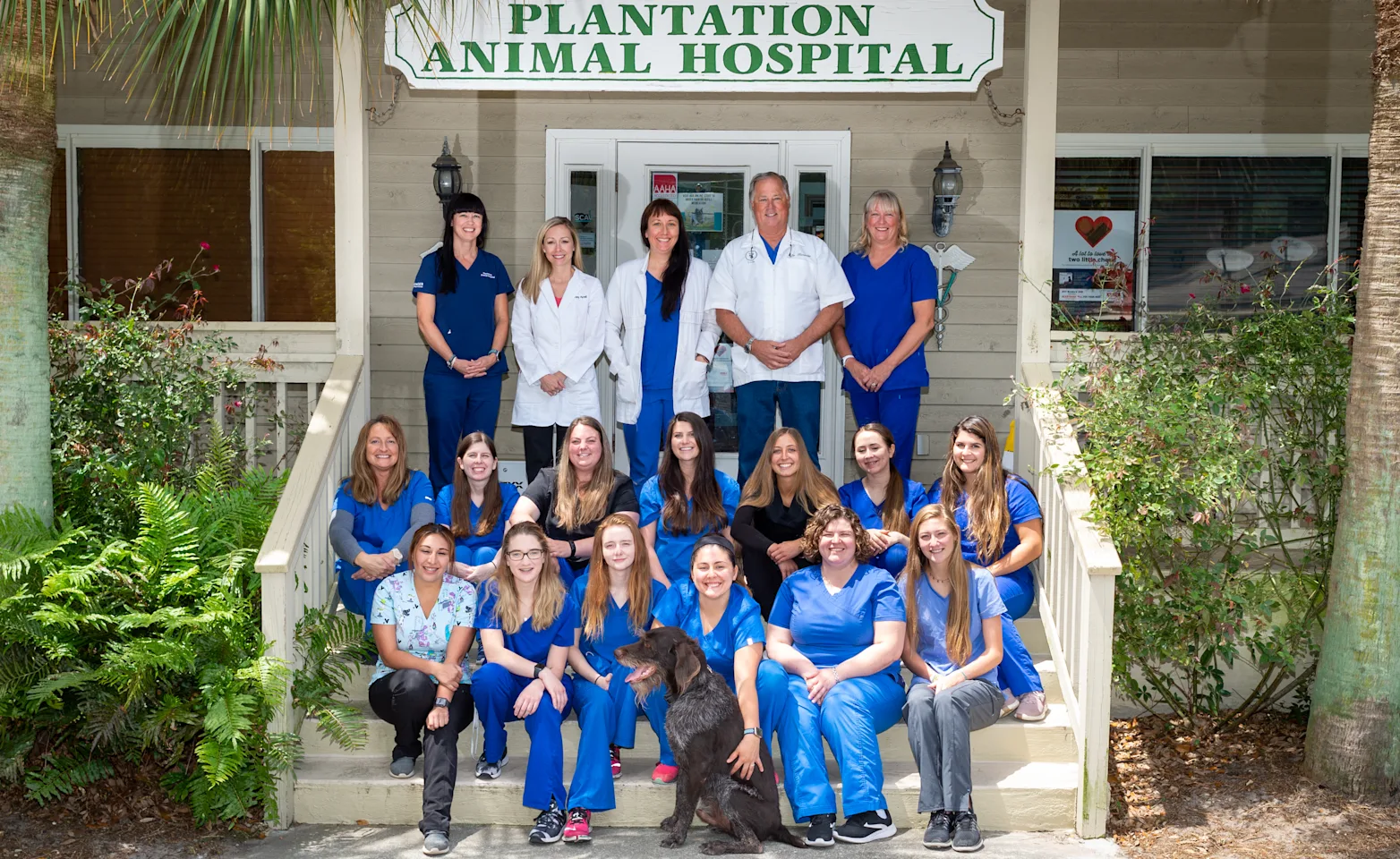 Plantation Animal Hospital group staff photo standing and sitting together in front of their building.