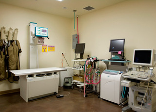 The Center for Bird and Exotic Medicine Radiology