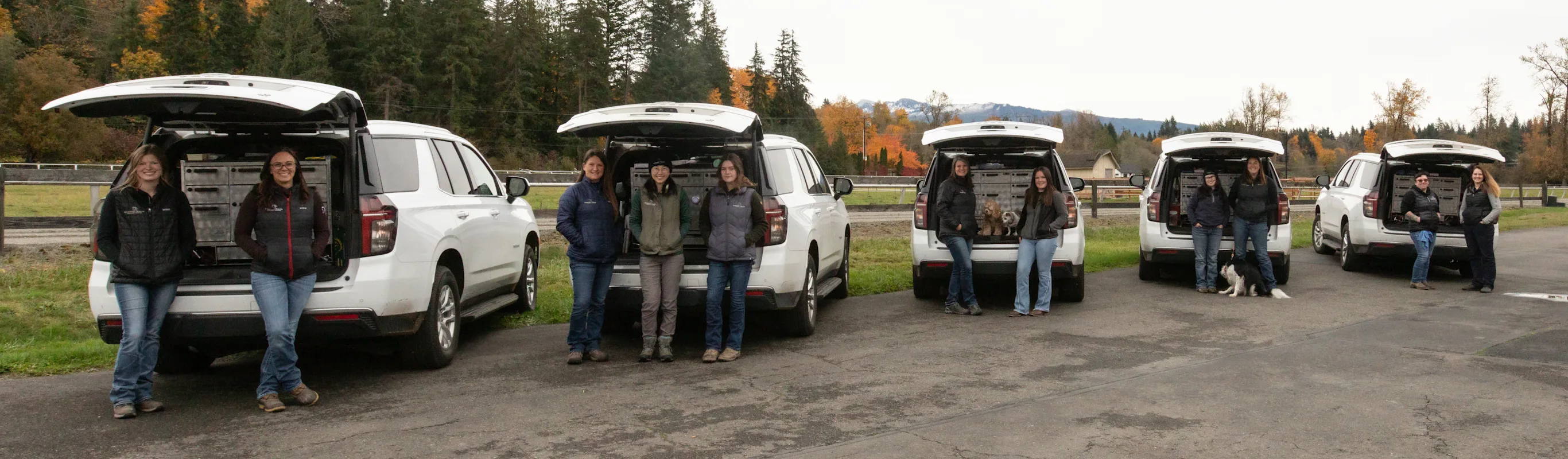 5 Evergreen Equine Veterinary Practice doctors 5 Evergreen Equine Veterinary Practice doctors