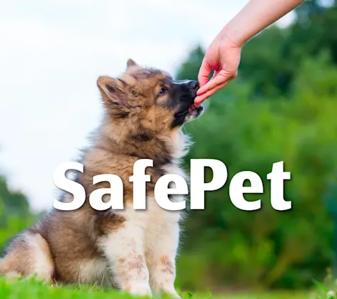 SafePet Program Logo SafePet Program Logo