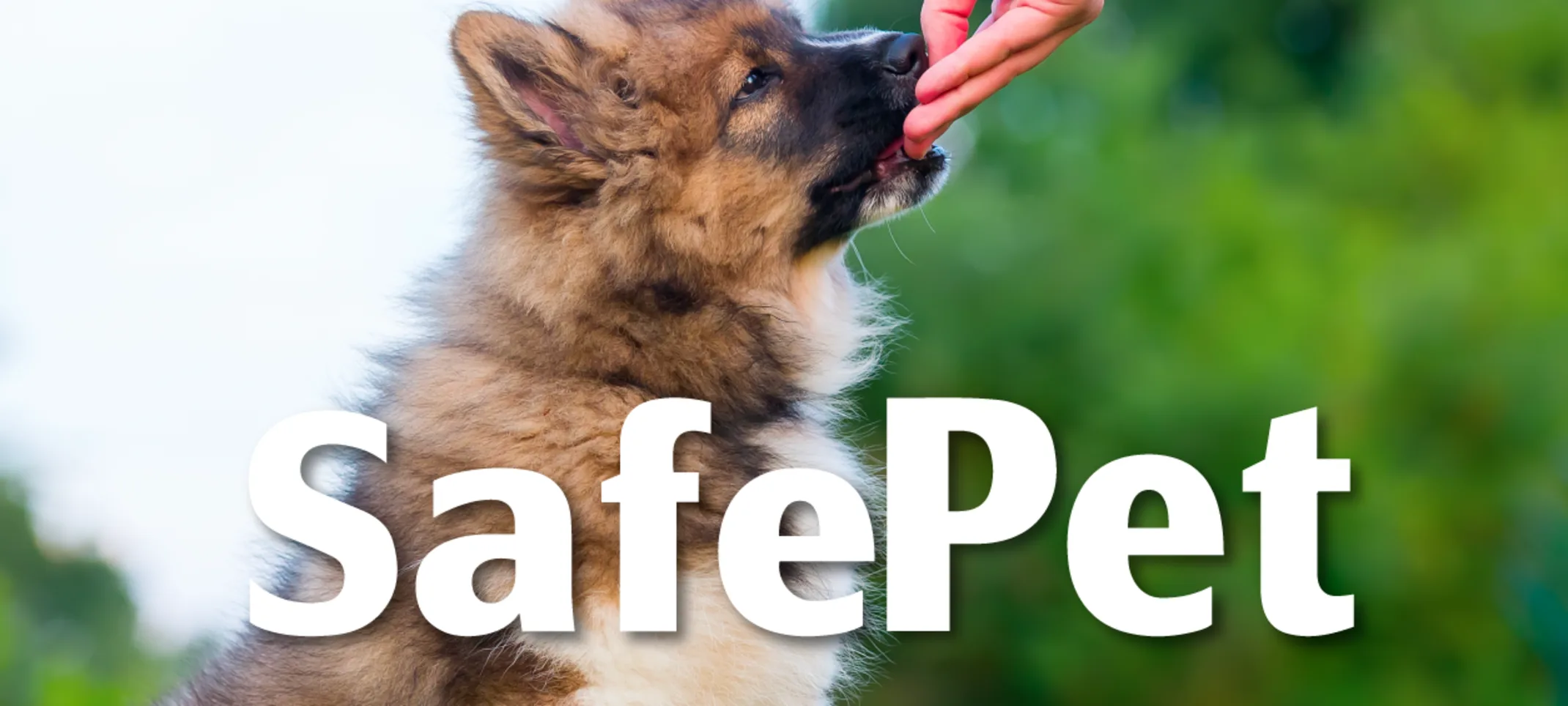 SafePet Program Logo SafePet Program Logo