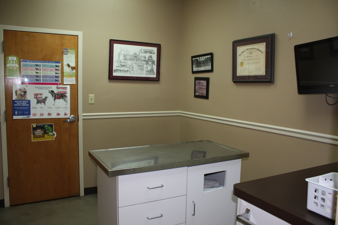 Westridge Animal Hospital Exam Room