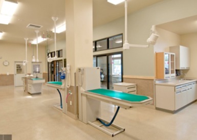 Brookfield Veterinary Hospital Treatment Area