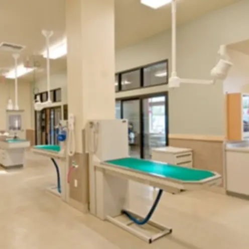 Brookfield Veterinary Hospital Treatment Area