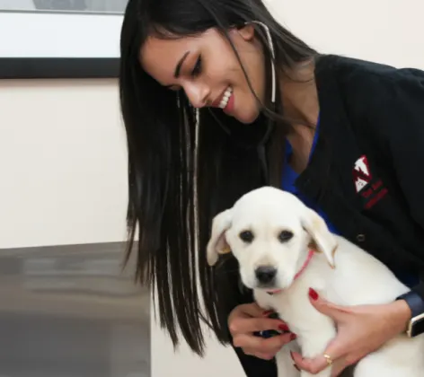 Staff member with a white puppy at The Animalife Veterinary Center