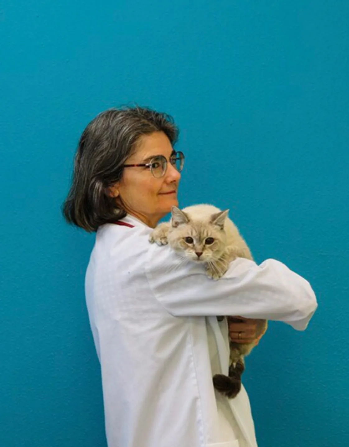 Dr. Jeanne Pittari's staff photo from Memorial Cat Hospital working in her office. Dr. Jeanne Pittari's staff photo from Memorial Cat Hospital working in her office.