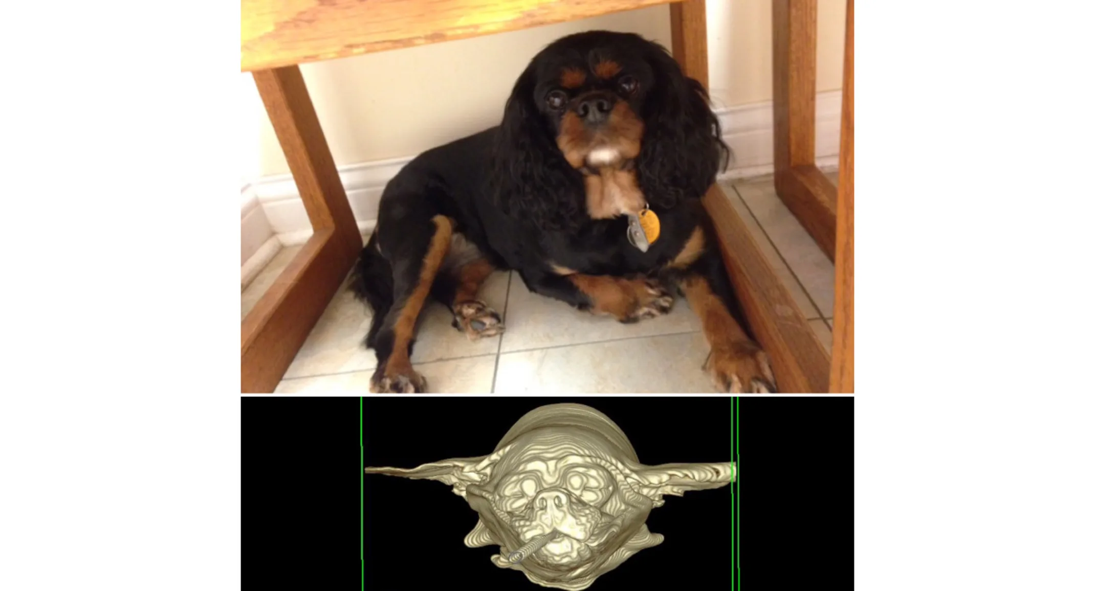 VESHW CT scan VESHW CT scan