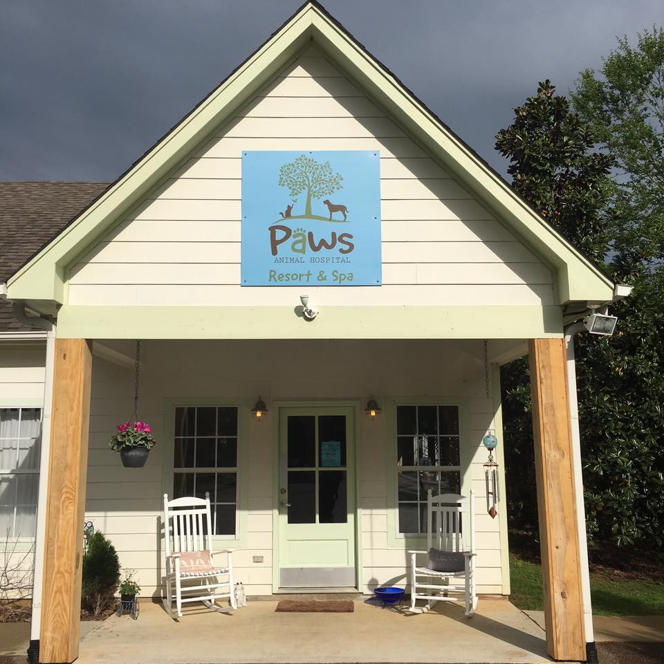 Pampered Paws Resort Entrance