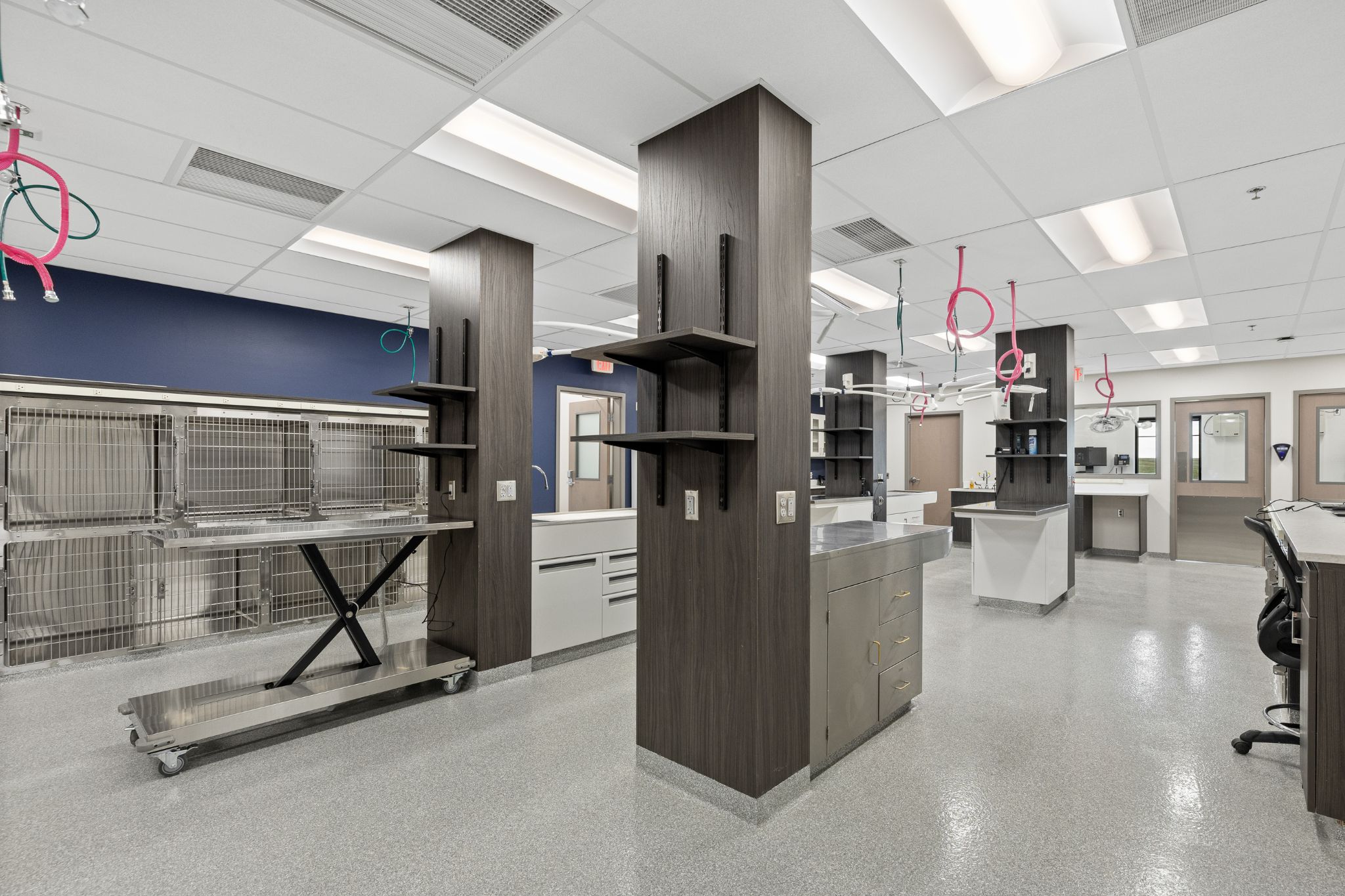 Animal Clinic of Rapid City Exam Tables