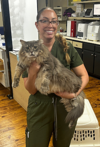 Kira & Large Cat