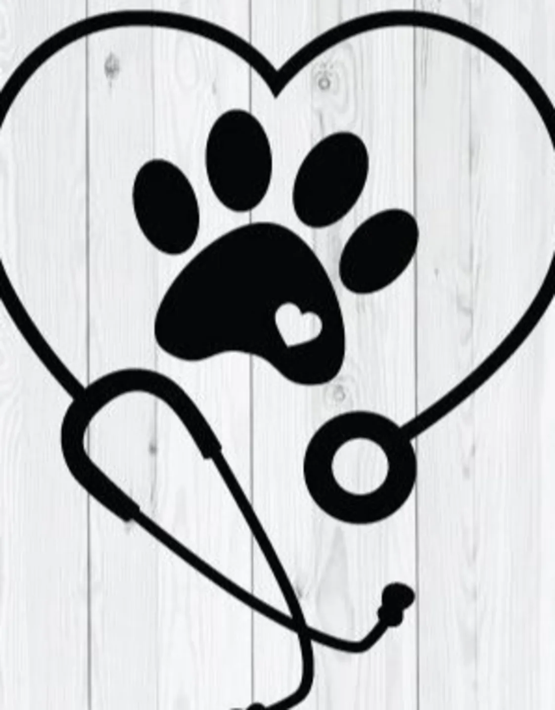 Seven Bends Veterinary Hospital Meridith, Kristin and Misty Seven Bends Veterinary Hospital Meridith, Kristin and Misty