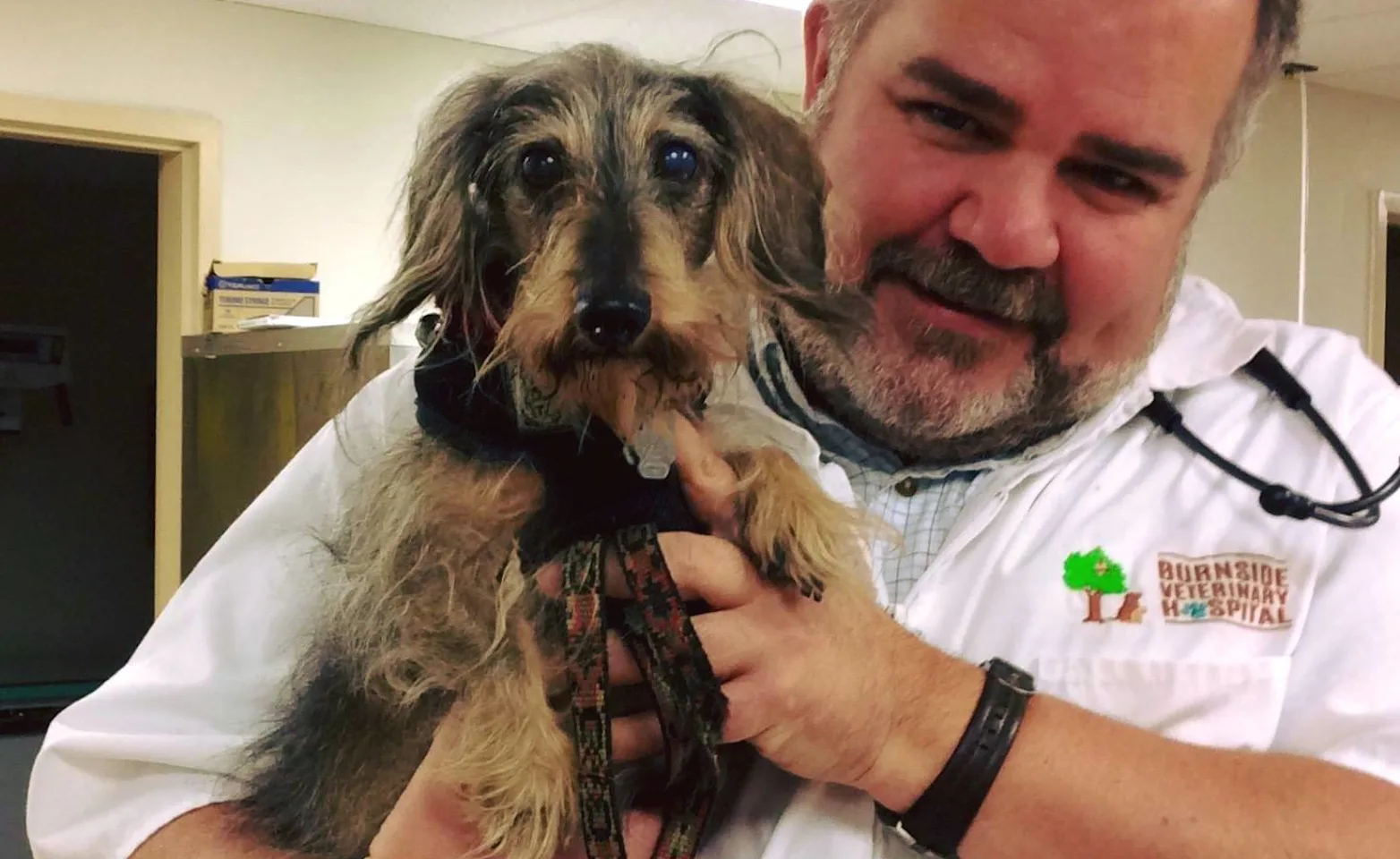 Staff holding dog