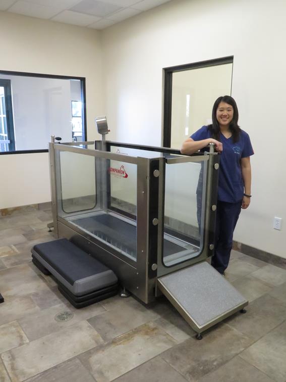water dog training with woman standing
