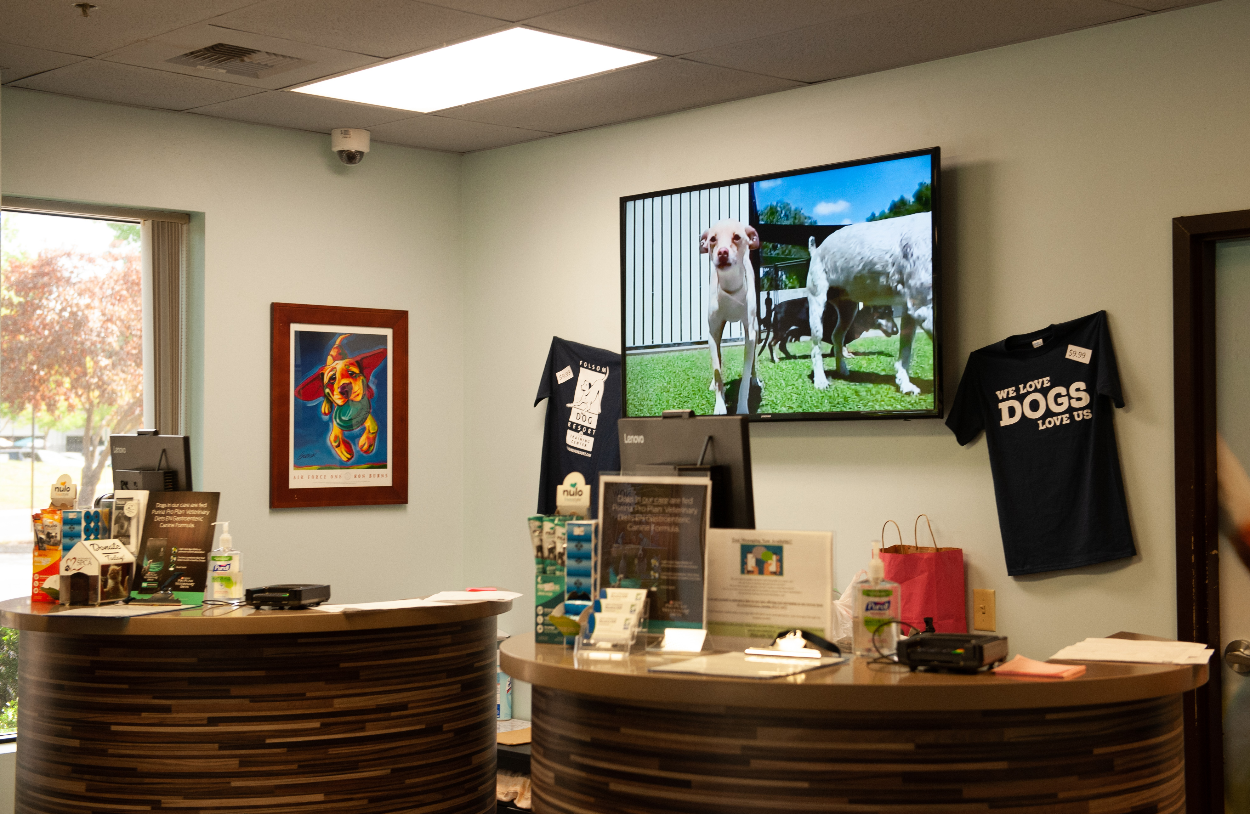 Front Desk of Folsom Dog Resort 