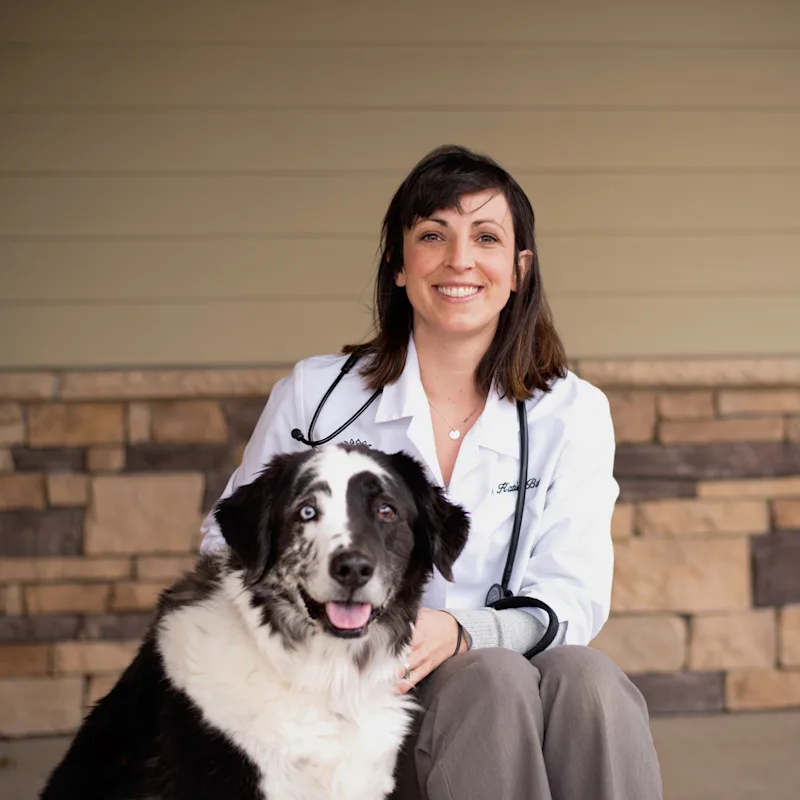 Dr. Katie Buss Dr. Katie Buss