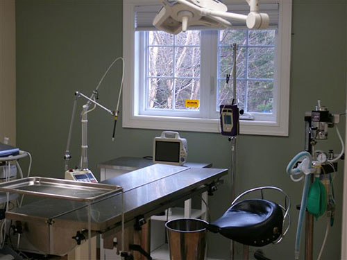 Baccalieu Trail Animal Hospital operating room where major surgeries are performed