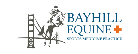 Bayhill Equine Logo