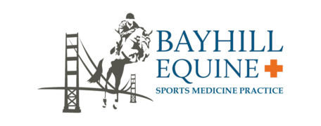 Bayhill Equine Logo Bayhill Equine Logo