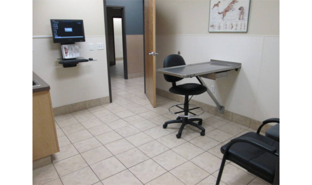 Eagle Animal Clinic Exam Room