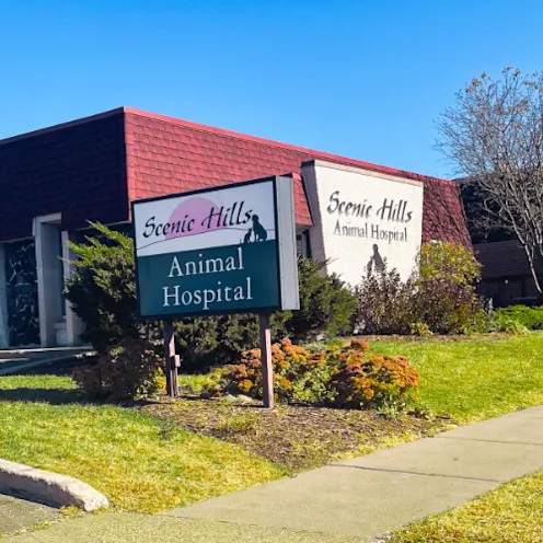 Exterior of Scenic Hills Animal Hospital building Exterior of Scenic Hills Animal Hospital building