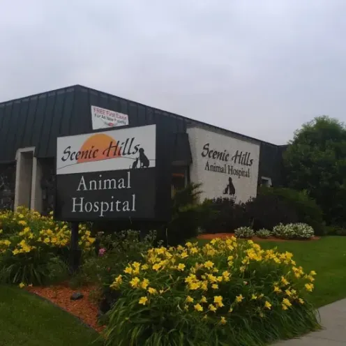 Exterior of Scenic Hills Animal Hospital building