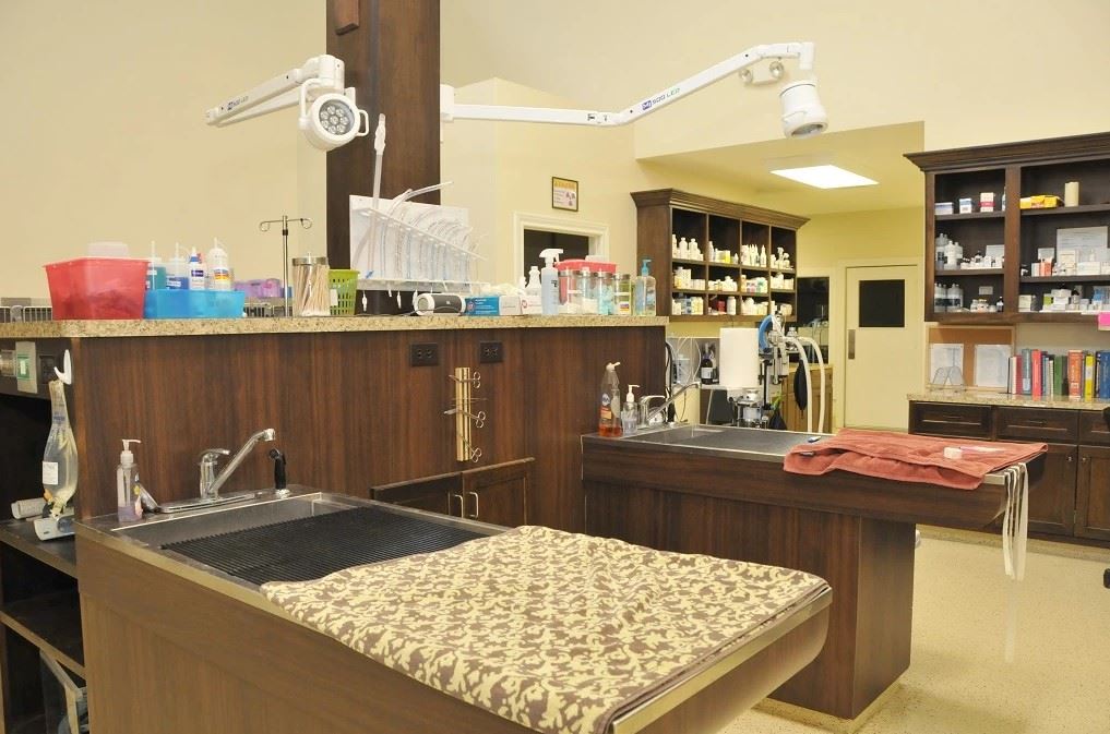 Treatment area of our hospital