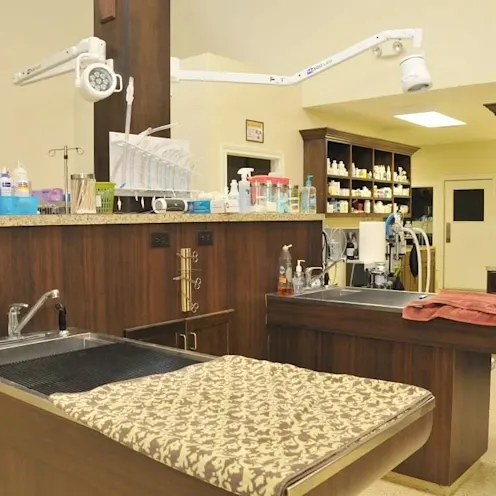 Treatment area of our hospital Treatment area of our hospital