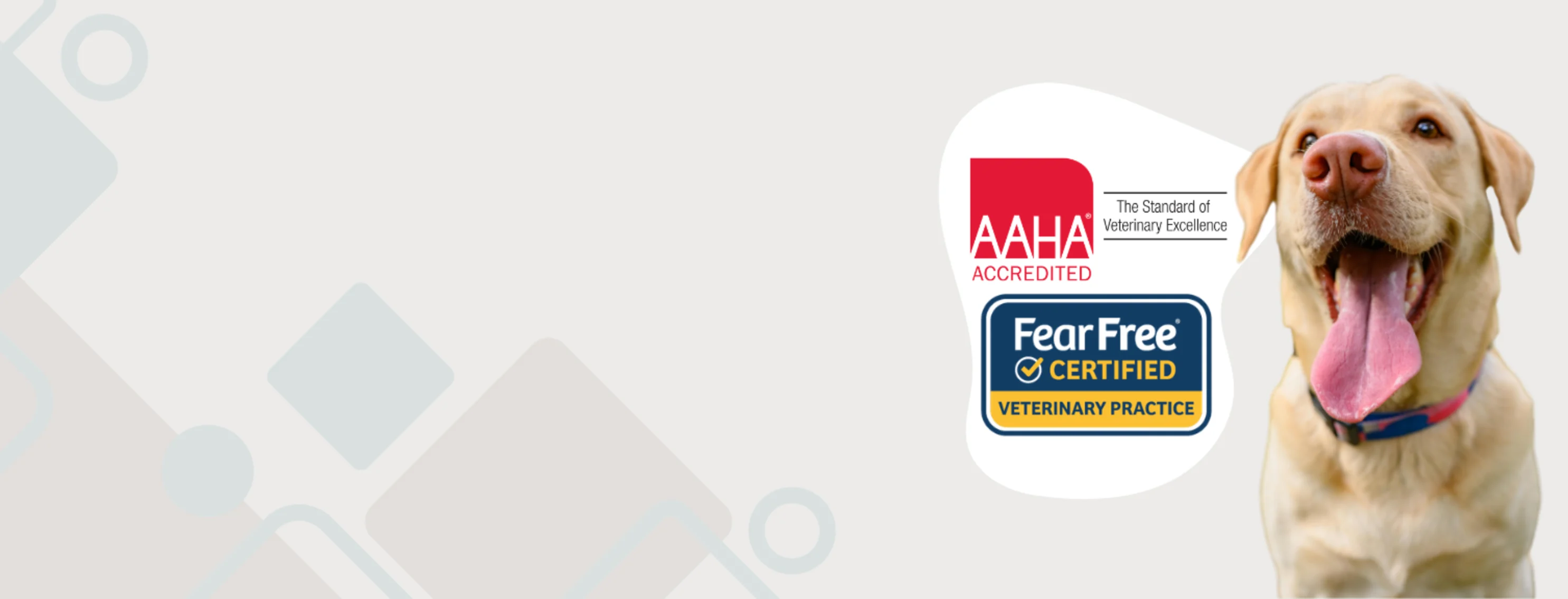 Fear Free Certified team and AAHA Accredited Fear Free Certified team and AAHA Accredited
