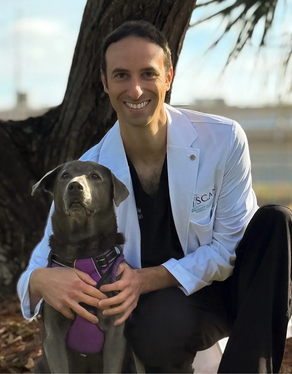 Jeffrey Laifer Jeffrey Laifer