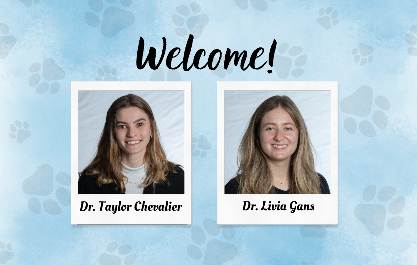 Dr. Taylor Chevalier and Dr. Livia Gans