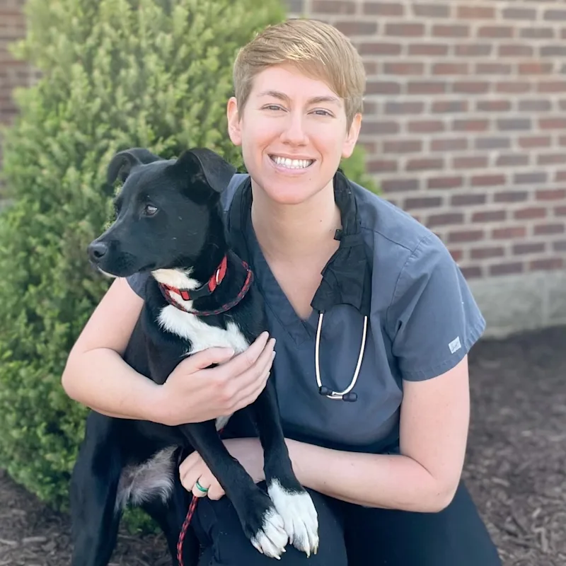 Dr. Corinne Adkins Dr. Corinne Adkins