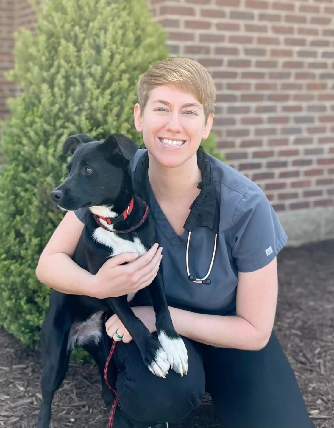 Dr. Corinne Adkins Dr. Corinne Adkins