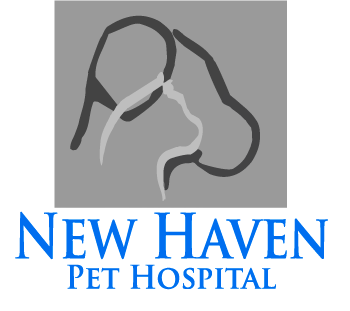 newhavenpethospital.com-logo